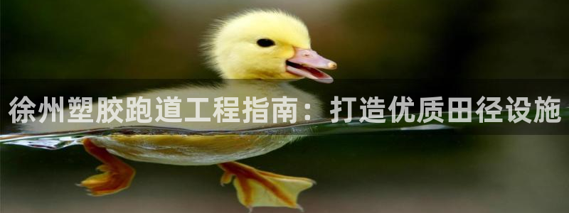 红足一1世666814足球比分网：徐州塑胶跑道工程指南：打造优质田径设施