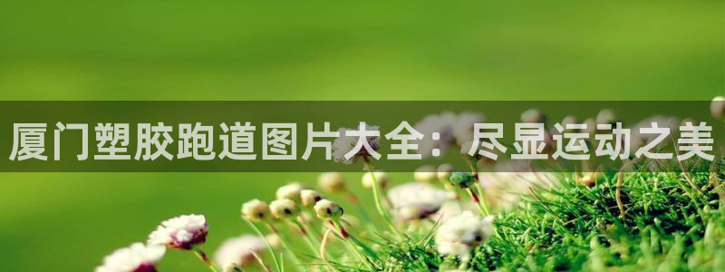 红姐现场直播开奖记录：厦门塑胶跑道图片大全：尽显运动之美