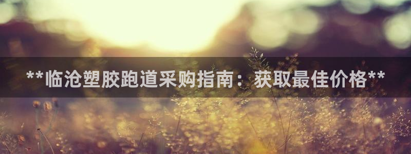 红足一比分网：**临沧塑胶跑道采购指南：获取最佳价格**