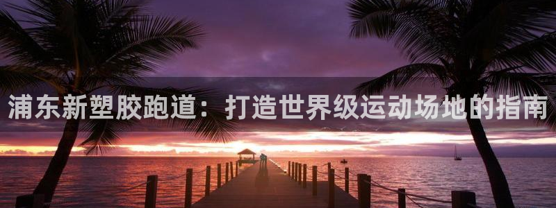 百度红足一1使用说明：浦东新塑胶跑道：打造世界级运动场地的指南