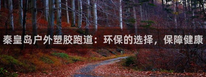 红足1世足球网址：秦皇岛户外塑胶跑道：环保的选择，保障健康