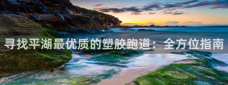 红足1一世 2站：寻找平湖最优质的塑胶跑道：全方位指南