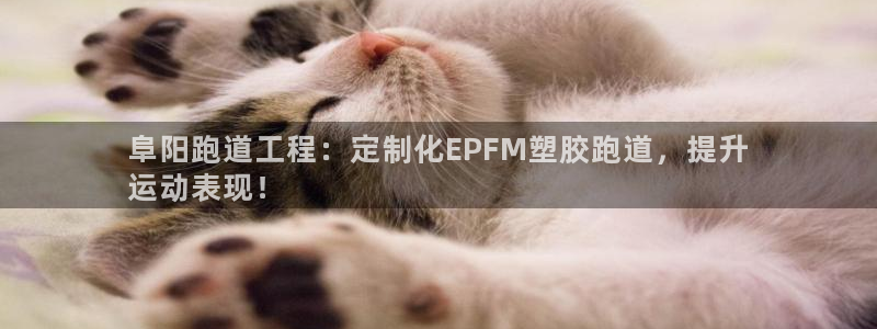 红足1一世足球手机：阜阳跑道工程：定制化EPFM塑胶跑道，提升
运动表现！