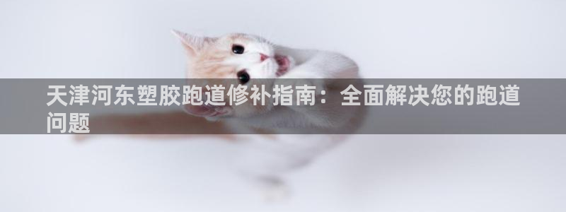 红足一1世皇冠登录：天津河东塑胶跑道修补指南：全面解决您的跑道
问题