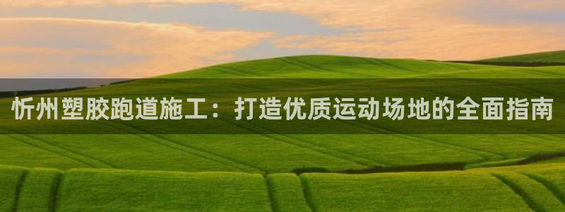 333814红足1世：忻州塑胶跑道施工：打造优质运动场地的全面指南