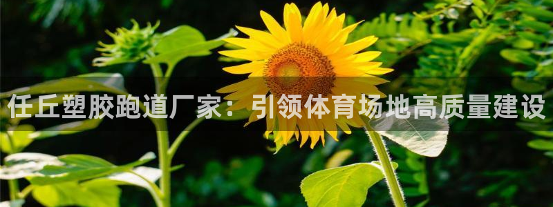 红足一1世官网足球推荐真人：任丘塑胶跑道厂家：引领体育场地高质量建设