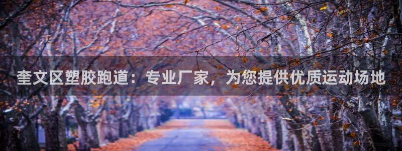 红足一1世666814足球：奎文区塑胶跑道：专业厂家，为您提供优质运动场地
