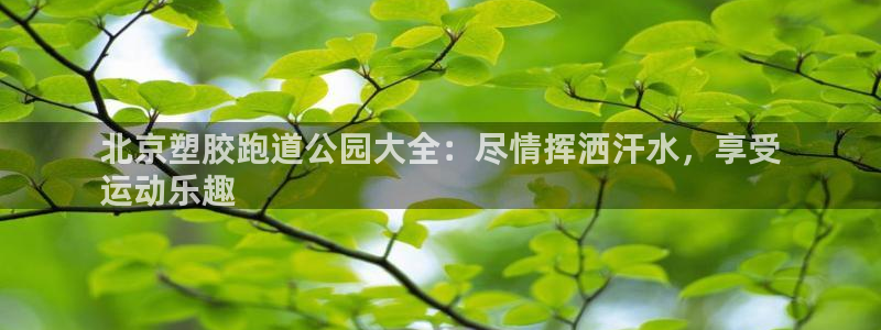 红足一1世开奖记录：北京塑胶跑道公园大全：尽情挥洒汗水，享受
运动乐趣