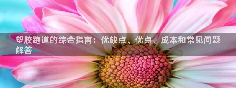 红足一1世手机版新皇冠：塑胶跑道的综合指南：优缺点、优点、成本和常见问题
解答