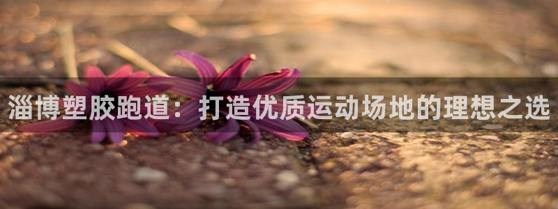 红足一1世比分：淄博塑胶跑道：打造优质运动场地的理想之选