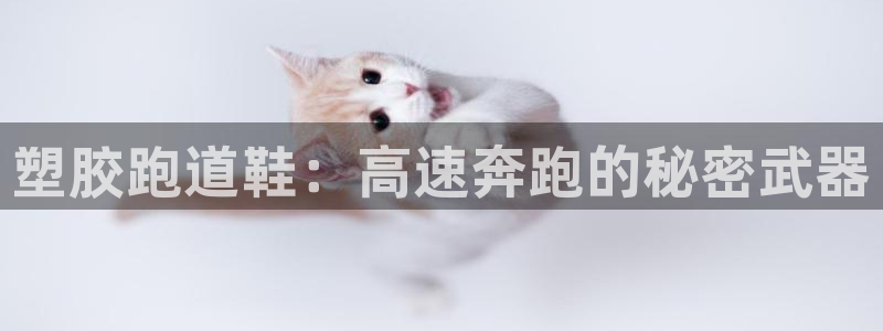 55814红足1世：塑胶跑道鞋：高速奔跑的秘密武器