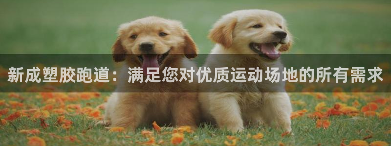 红足一球：新成塑胶跑道：满足您对优质运动场地的所有需求