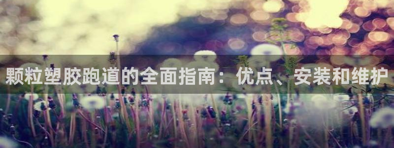 红足1世手机下载：颗粒塑胶跑道的全面指南：优点、安装和维护