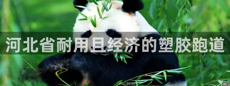红足1一世开奖版：河北省耐用且经济的塑胶跑道