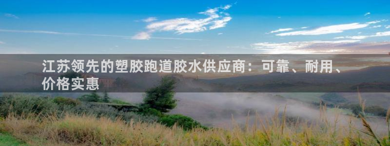 红足1一世开奖版：江苏领先的塑胶跑道胶水供应商：可靠、耐用、
价格实惠