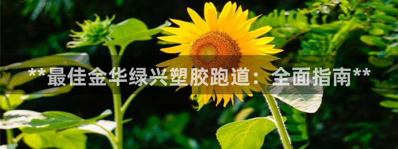 红足l一世开奖现场62ty