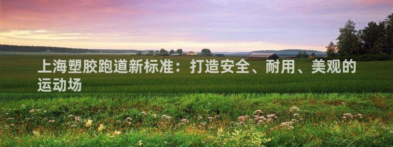 红足1世1站：上海塑胶跑道新标准：打造安全、耐用、美观的
运动场