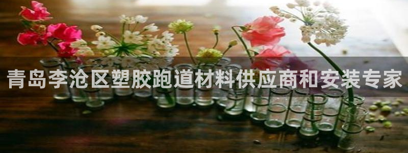 333814红足1世：青岛李沧区塑胶跑道材料供应商和安装专家