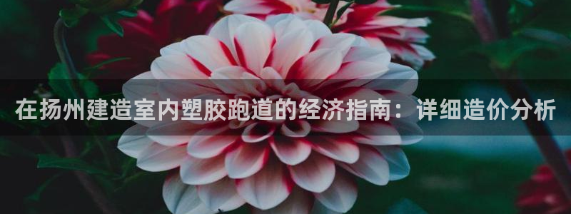 新2足球平台出租网站：在扬州建造室内塑胶跑道的经济指南：详细造价分析