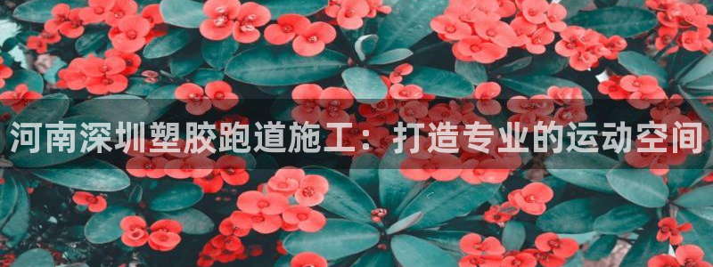 百度红足一1视频在线观看：河南深圳塑胶跑道施工：打造专业的运动空间