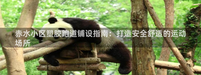 红足 世足球手机网：赤水小区塑胶跑道铺设指南：打造安全舒适的运动
场所