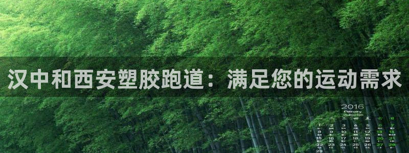 红足一生世：汉中和西安塑胶跑道：满足您的运动需求