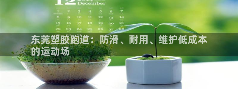 红足一1世平台：东莞塑胶跑道：防滑、耐用、维护低成本
的运动场