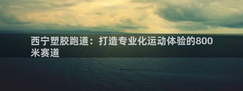 红足一1世比分：西宁塑胶跑道：打造专业化运动体验的800
米赛道