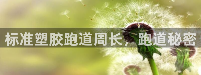 66814红足：标准塑胶跑道周长，跑道秘密