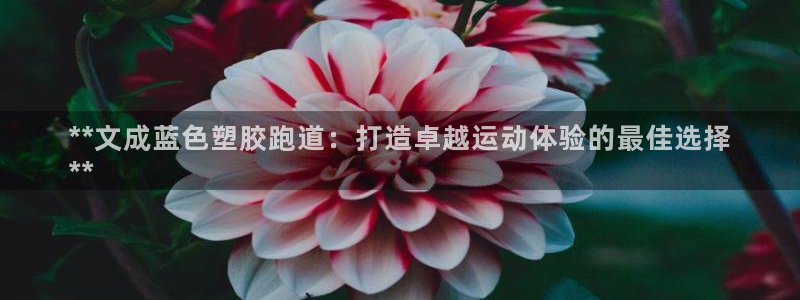 红足1世开奖预测：**文成蓝色塑胶跑道：打造卓越运动体验的最佳选择
**