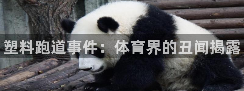 红足一1世官网足球推荐真人：塑料跑道事件：体育界的丑闻揭露
