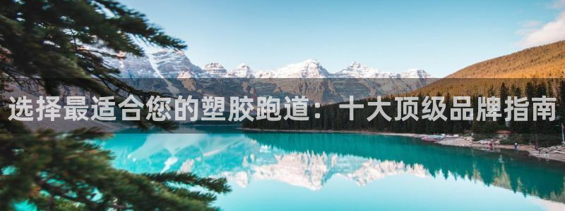 44814红足：选择最适合您的塑胶跑道：十大顶级品牌指南