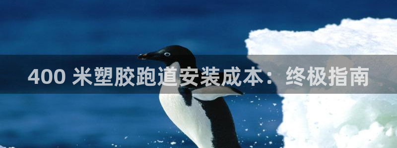 红足1世1站：400 米塑胶跑道安装成本：终极指南