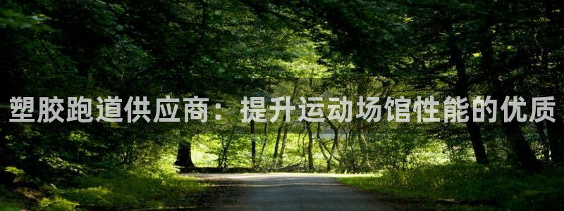 红足体育网：塑胶跑道供应商：提升运动场馆性能的优质