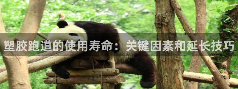 777814红·足一世比分篮球：塑胶跑道的使用寿命：关键因素和延长技巧