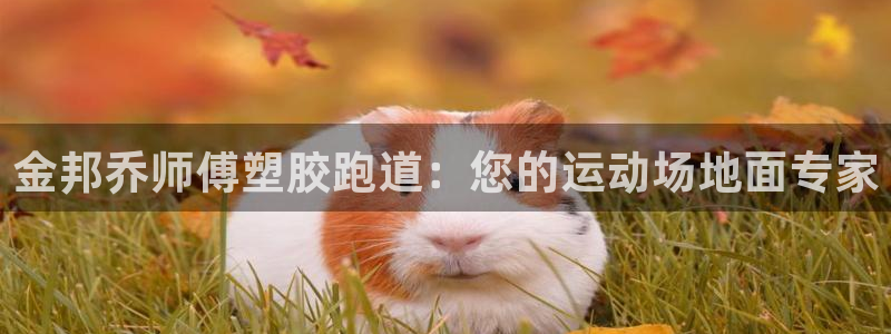 红足一1世77814：金邦乔师傅塑胶跑道：您的运动场地面专家