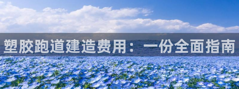 333814红·足一世比分：塑胶跑道建造费用：一份全面指南