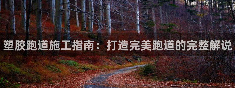 百度红足一1是干什么的：塑胶跑道施工指南：打造完美跑道的完整解说