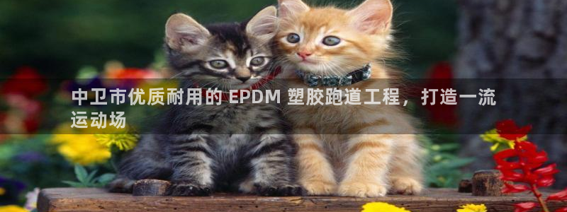 百度红足一1是什么样子的：中卫市优质耐用的 EPDM 塑胶跑道工程，打造一流
运动场