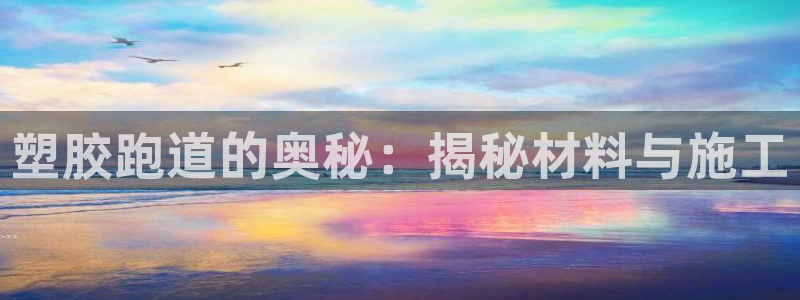 红足一1世：塑胶跑道的奥秘：揭秘材料与施工