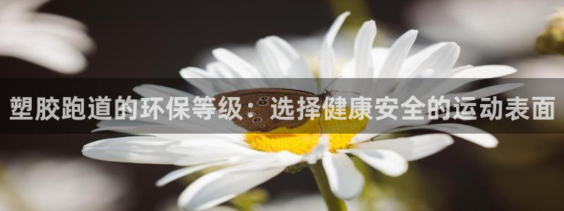 红足一1世666814足球：塑胶跑道的环保等级：选择健康安全的运动表面