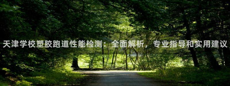 红足一1世比分：天津学校塑胶跑道性能检测：全面解析，专业指导和实用建议
