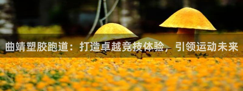 333814红·足一世比分