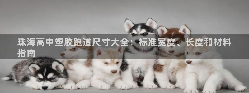 红足一1世66814新宝：珠海高中塑胶跑道尺寸大全：标准宽度、长度和材料
指南