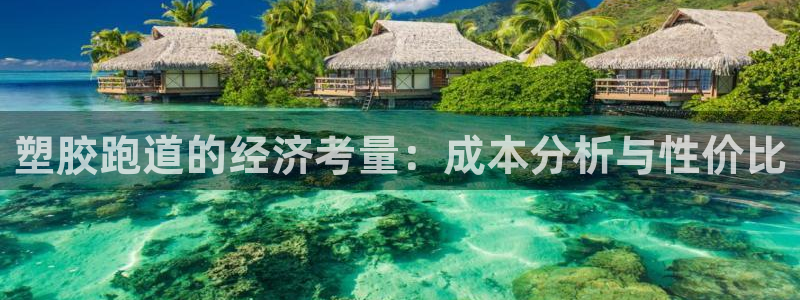红足1一世：塑胶跑道的经济考量：成本分析与性价比