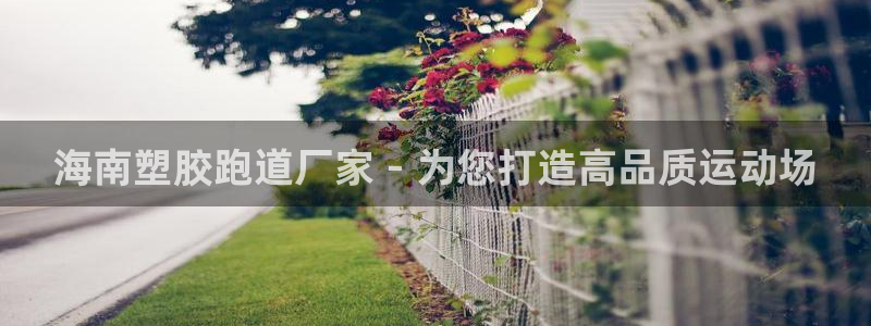 红足1世手机下载：海南塑胶跑道厂家 - 为您打造高品质运动场