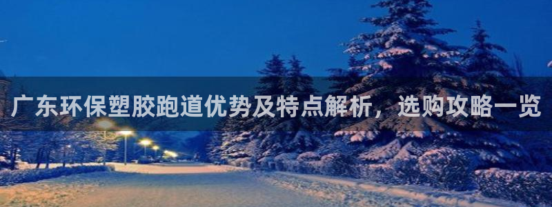 红足1世手机下载：广东环保塑胶跑道优势及特点解析，选购攻略一览