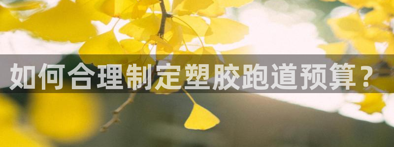 红足一球：如何合理制定塑胶跑道预算？