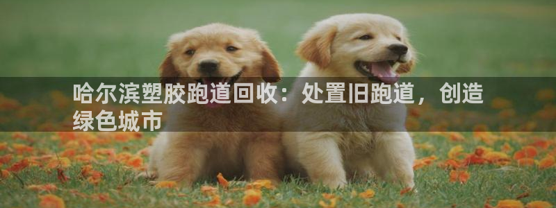 66814红足：哈尔滨塑胶跑道回收：处置旧跑道，创造
绿色城市