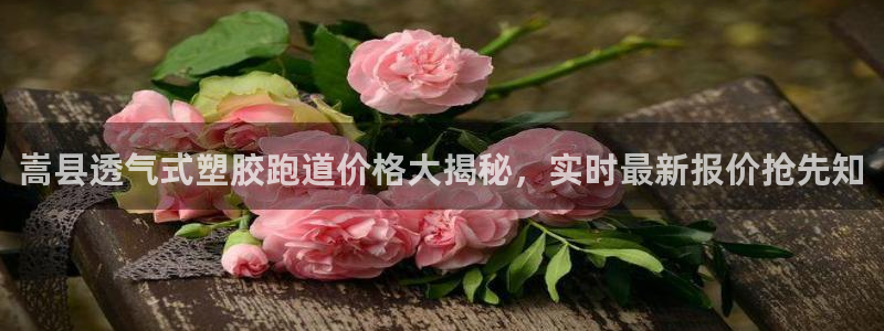 红足一生世：嵩县透气式塑胶跑道价格大揭秘，实时最新报价抢先知